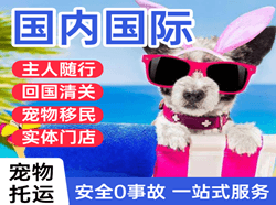 昆冈航空货运国际宠物托运 【国